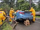 Mark Stockwell was trapped in a car for 90 minutes, seriously injured, after a tree fell on the Mornington Peninsula in August last year.