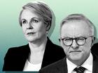 Graphic photomontage of Tanya Plibersek, Anthony Albanese, and Roger Cook.