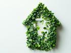 Green ivy covering small house shape on white background. Your Name