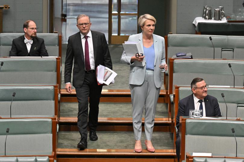 Prime Minister Anthony Albanese and Minister for Environment Tanya Plibersek.