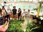 'Putricia' the corpse flower drew big crowds to Sydney's Royal Botanic Gardens.