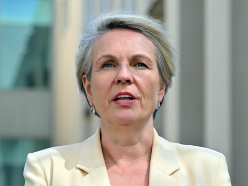 Tanya Plibersek. 