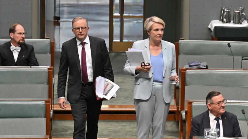 ANDREW CARSWELL: It’s not easy being Tanya Plibersek in an Albanese Government. The chances of being trampled upon by the PM’s ungainly boots is extremely high.