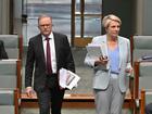 ANDREW CARSWELL: It’s not easy being Tanya Plibersek in an Albanese Government. The chances of being trampled upon by the PM’s ungainly boots is extremely high.