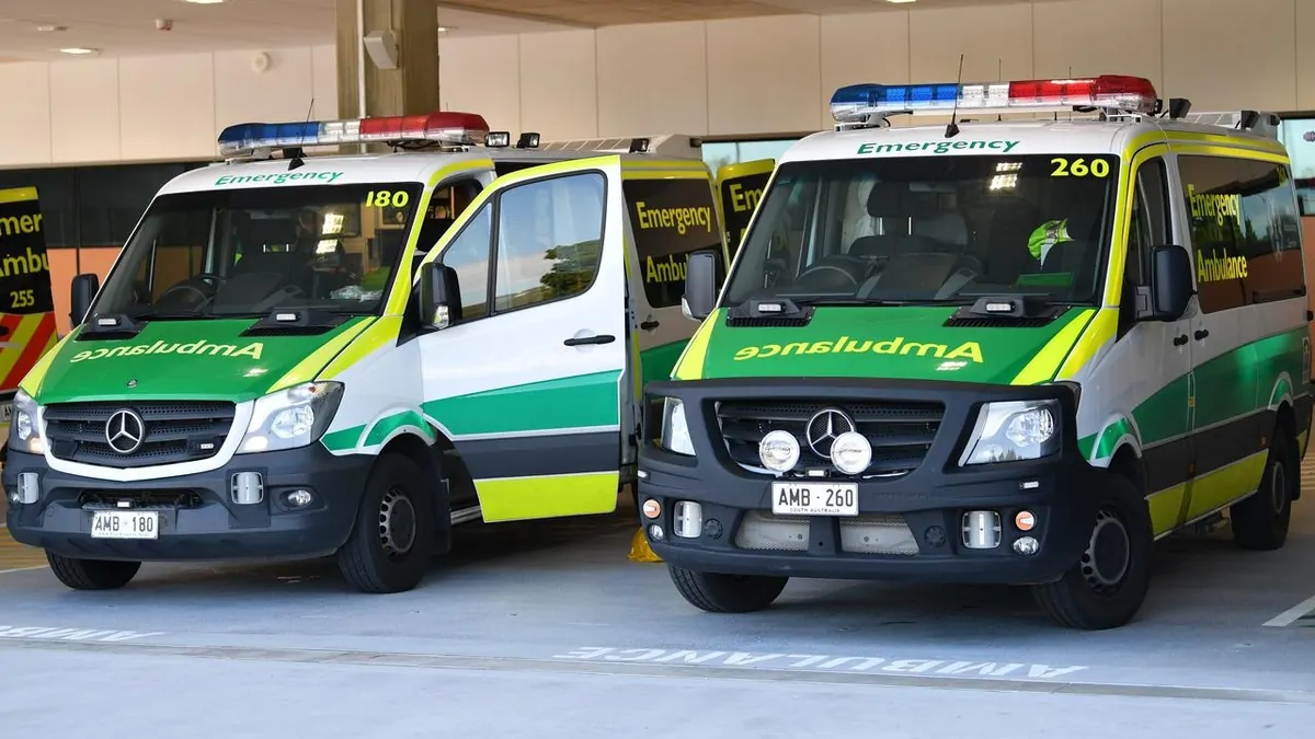 Torrensville: Nine month old girl baby attacked by dog in suburban ...