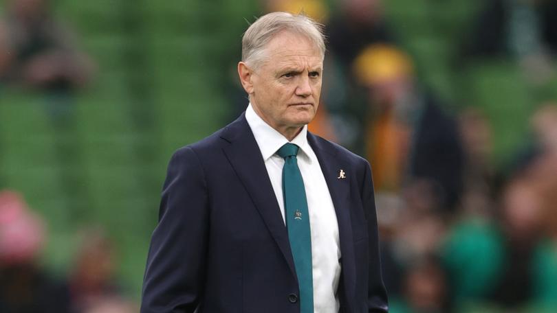 Joe Schmidt will depart as Wallabies coach.