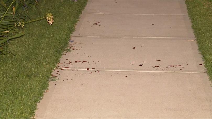 A trail of blood at the scene.