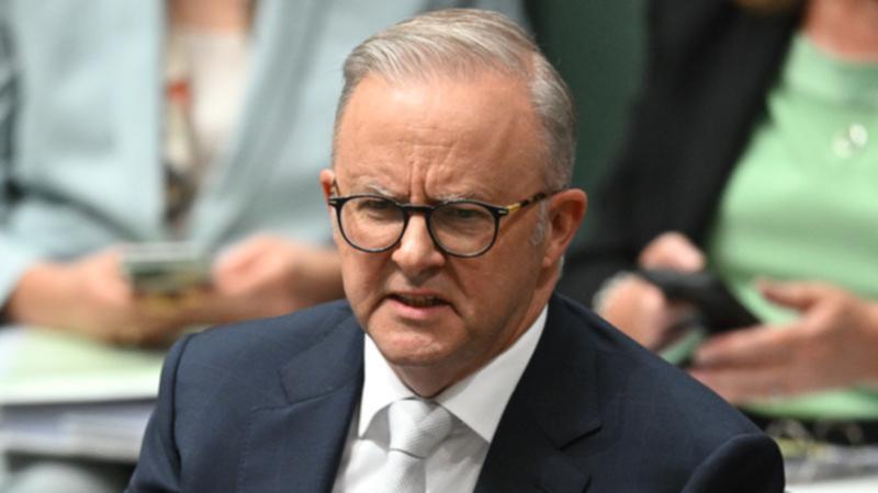 Anthony Albanese will plead Australia's case to the US president against tariffs being imposed.