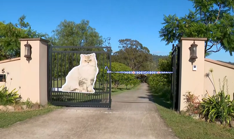 Rose ran her own business -  a cat salon called The Groomery - at her Cawdor home. Police tape is pictured blocking off the property after the tragedy unfolded over the weekend