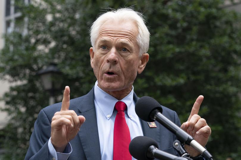 Peter Navarro says Australia is ‘killing’ the US aluminium market.