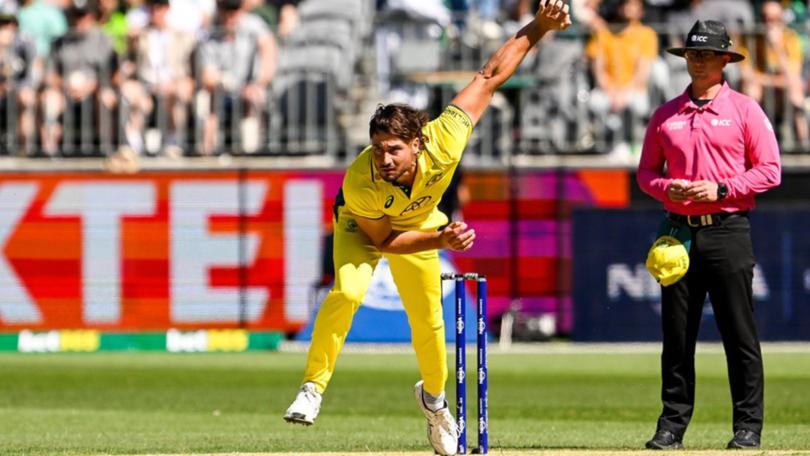 Marcus Stoinis has retired from one-day internationals.  