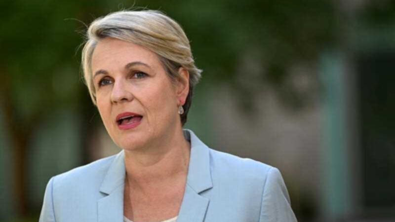 The delay has again called into question the Federal Government’s priorities, and Ms Plibersek’s ability to properly weigh up a project’s economic and social benefits against its environmental risks. 