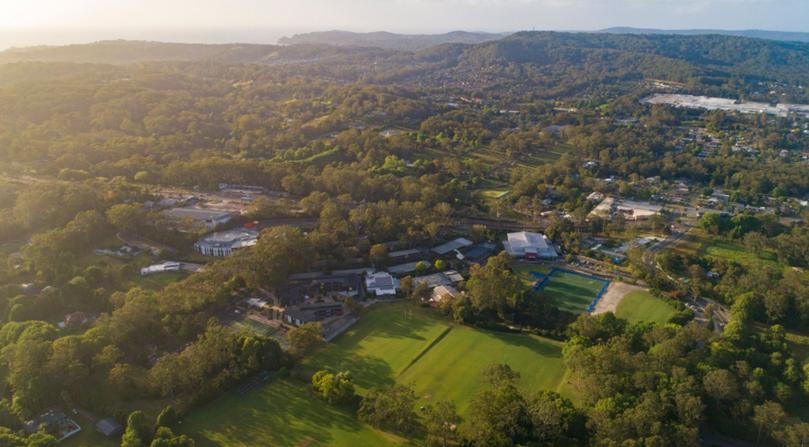 A Central Coast Grammar Year 6 student was critically injured when a tree limb fell on a group of students visiting Government House Canberra as part of a school excursion