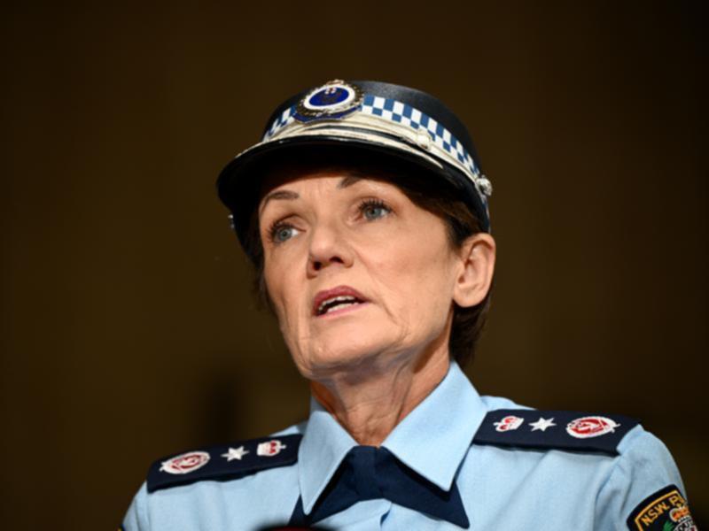 Commissioner Karen Webb told reporters Monday the investigation had been delayed because the central witness was based overseas. 