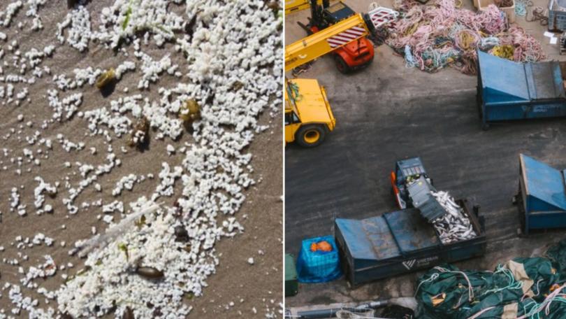 As beachgoers make bizarre discoveries on the shore, aerial shots show large skip bins filled with dead fish.