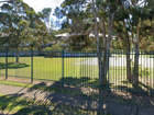 An investigation has been launched into claims of child abuse at Willmot Public School