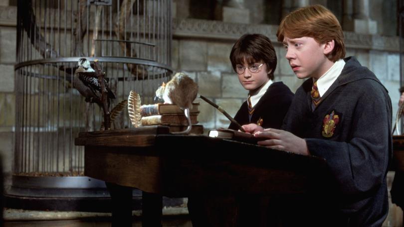 (L to R): Daniel Radcliffe (Harry Potter) and Rupert Grint (Ron Weasley) in Harry Potter and the Chamber of Secrets.