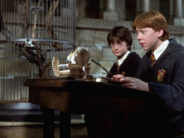 (L to R): Daniel Radcliffe (Harry Potter) and Rupert Grint (Ron Weasley) in Harry Potter and the Chamber of Secrets.