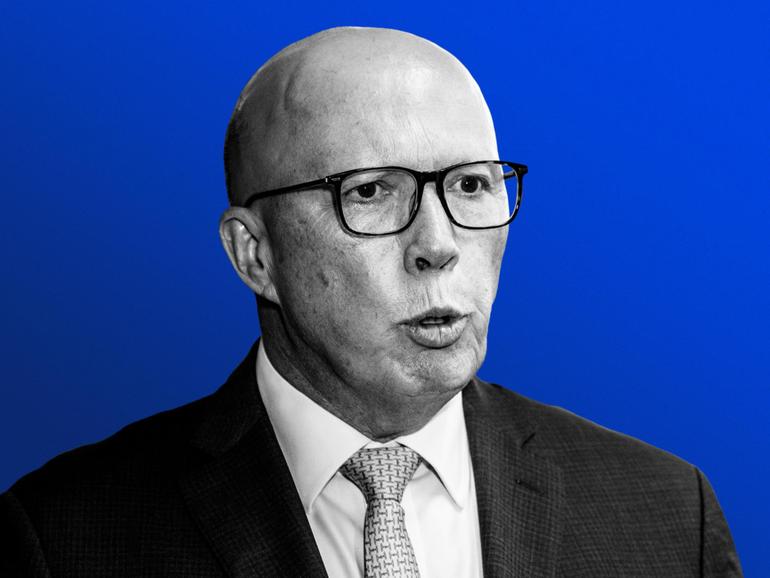 Federal Opposition Leader Peter Dutton faces a fight for his own electorate. 
