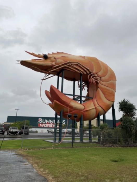 The Big Prawn in Ballina has lost an antenna.