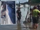 Rescuers use a tractor to return the dolphin to the ocean after it jumped in a fishing boat.