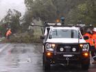 Strong winds and heavy rain are already causing damage in northern NSW as a cyclone nears.