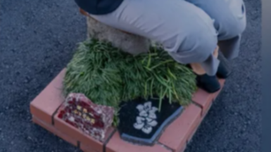 The world’s smallest park in Nagaizumi, Japan.