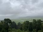 Flooding over sugarcane fields in the NSW Tweed Valley on March 7.