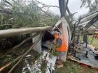 Clean-up efforts have begun as residents in Queensland and NSW deal with the impacts of ex-Cyclone Alfred.