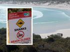 A surfer is missing after a “serious” shark attack at a popular beach east of Esperance.