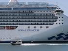 A Princess Cruises ship has been hit by a norovirus outbreak.