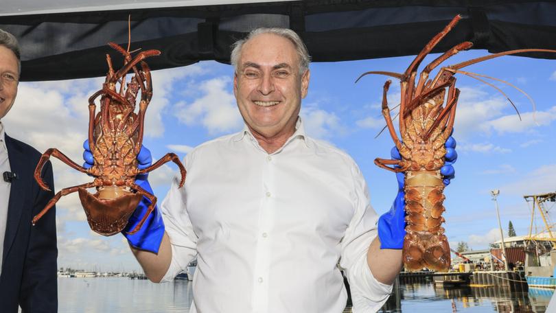 Federal Trade Minister Don Farrell with rock lobsters at Fremantle Fishing Boat Harbour.