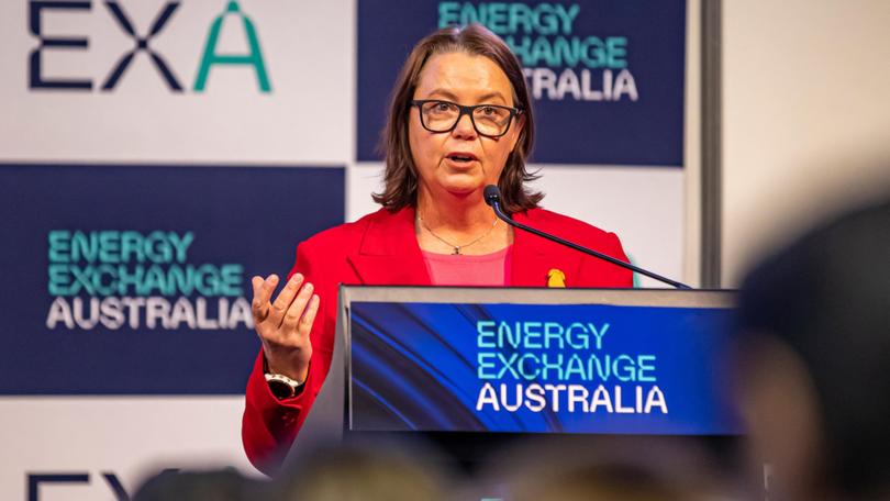 Federal Resources Minister Madeleine King speaking at the Perth Convention and Exhibition Centre. Riley Churchman