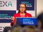 Federal Resources Minister Madeleine King speaking at the Perth Convention and Exhibition Centre. Riley Churchman