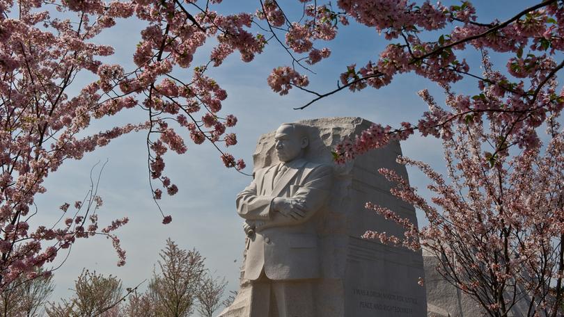 The Martin Luther King Jr. Memorial is framed by cherry blossoms on March 22, 2012. 