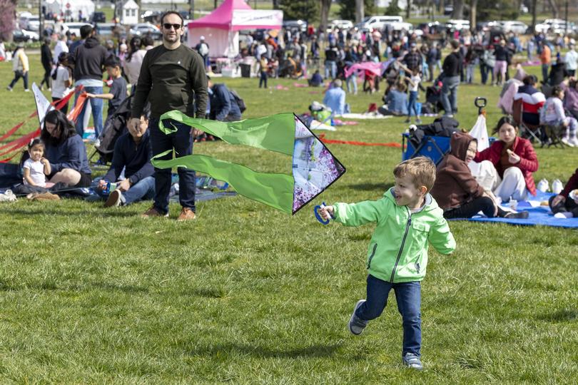 Danny Gringut, 4, runs with his kite as his father, Simon, helps during the annual Blossom Kite Festival last year. 