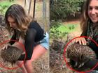 Second clip surfaces of US influencer Sam Jones picking up an echidna as her visa is reviewed 