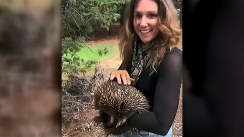 A second clip has emerged of Samantha Strable, who goes by Sam Jones, holding an echidna. 