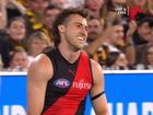 Essendon’s Andy McGrath was not impressed when the umpire paid a free kick against him for rushing a behind.