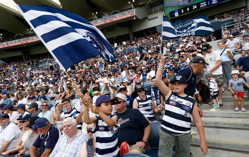 GEELONG, AUSTRALIA - MARCH 15: Cats fans wave flags during the 2025 AFL Round 01 match between the Geelong Cats and the Fremantle Dockers at GMHBA Stadium on March 15, 2025 in Geelong, Australia. (Photo by Michael Willson/AFL Photos via Getty Images)