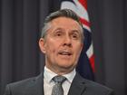 Federal Health Minister Mark Butler.