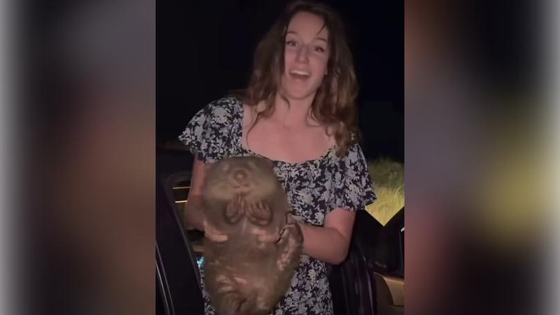 The video was posted by Sam Jones on Tuesday, a woman who claims to be a “wildlife biologist and environmental scientist”,