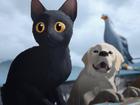 Latvian animation Flow won the Oscar for best animated feature.