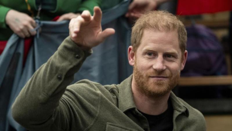 The US government says there's no evidence Prince Harry got special treatment in his visa process.