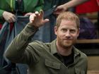 The US government says there's no evidence Prince Harry got special treatment in his visa process.