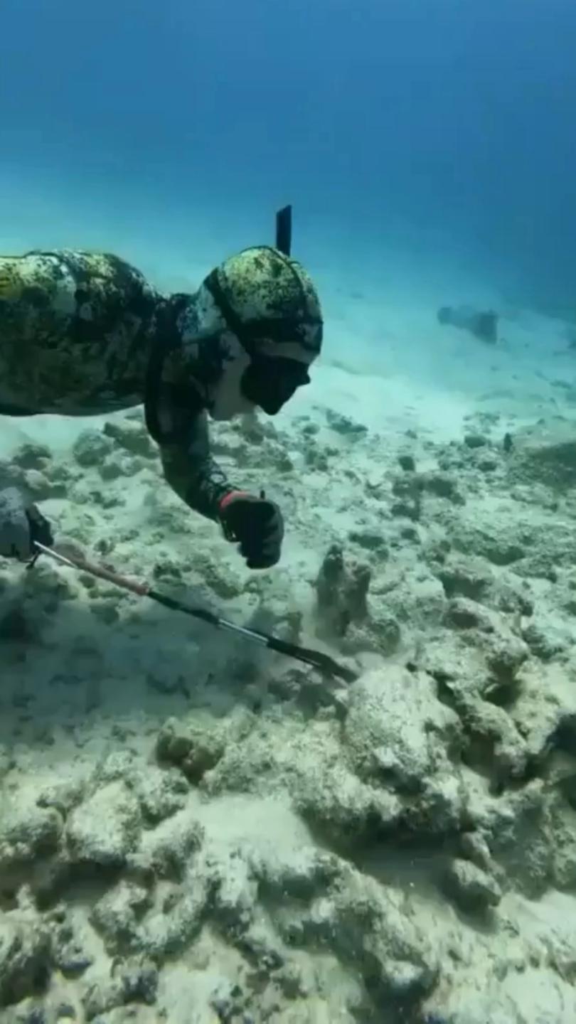 A diver has had to fight off an octopus that attempted to strangle him.