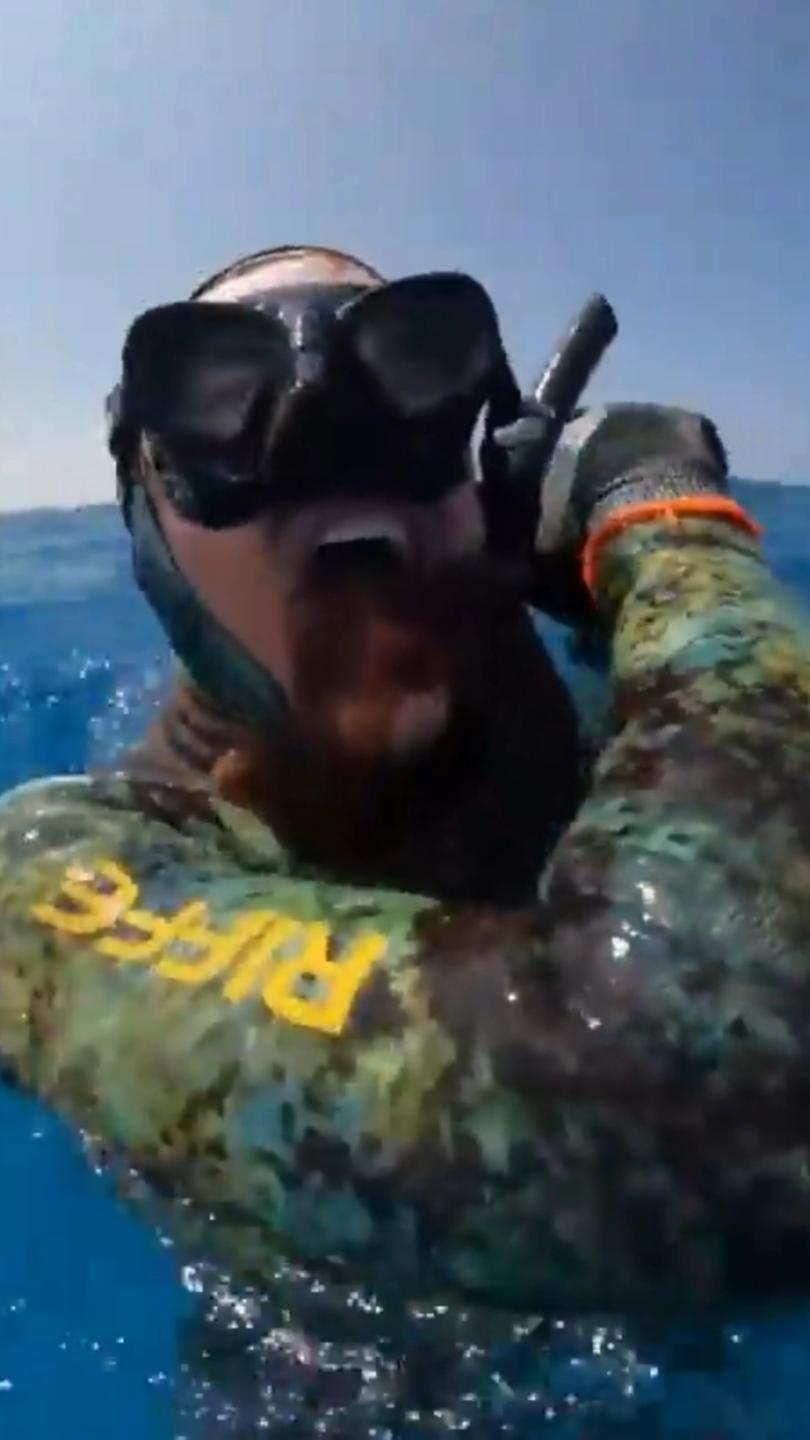 A diver has had to fight off an octopus that attempted to strangle him.