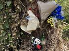 Flowers and other tributes have been left at the crash site to honour Justine Hammond. 