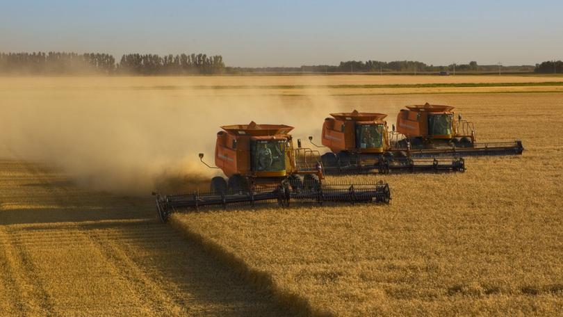 Donald Trump is being urged to impose tariffs on Australia’s wheat exports.