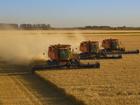 Donald Trump is being urged to impose tariffs on Australia’s wheat exports.